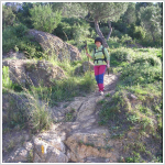 Camino de regreso a la font de l'Alzina)