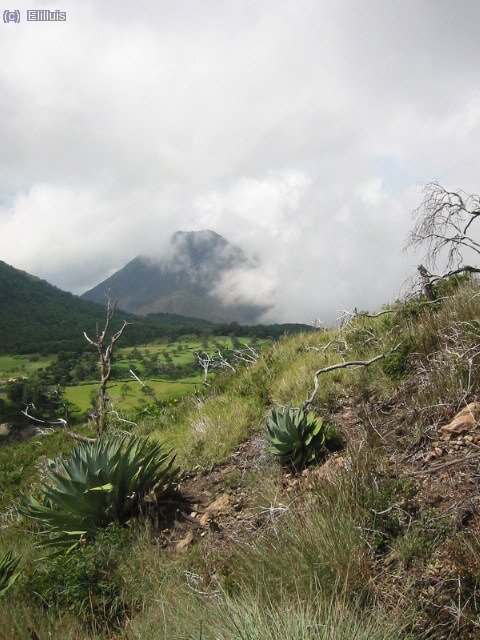 Perspectiva del Izalco, el volcán más joven de El Salvador, visto desde las faldas del Lamatepec