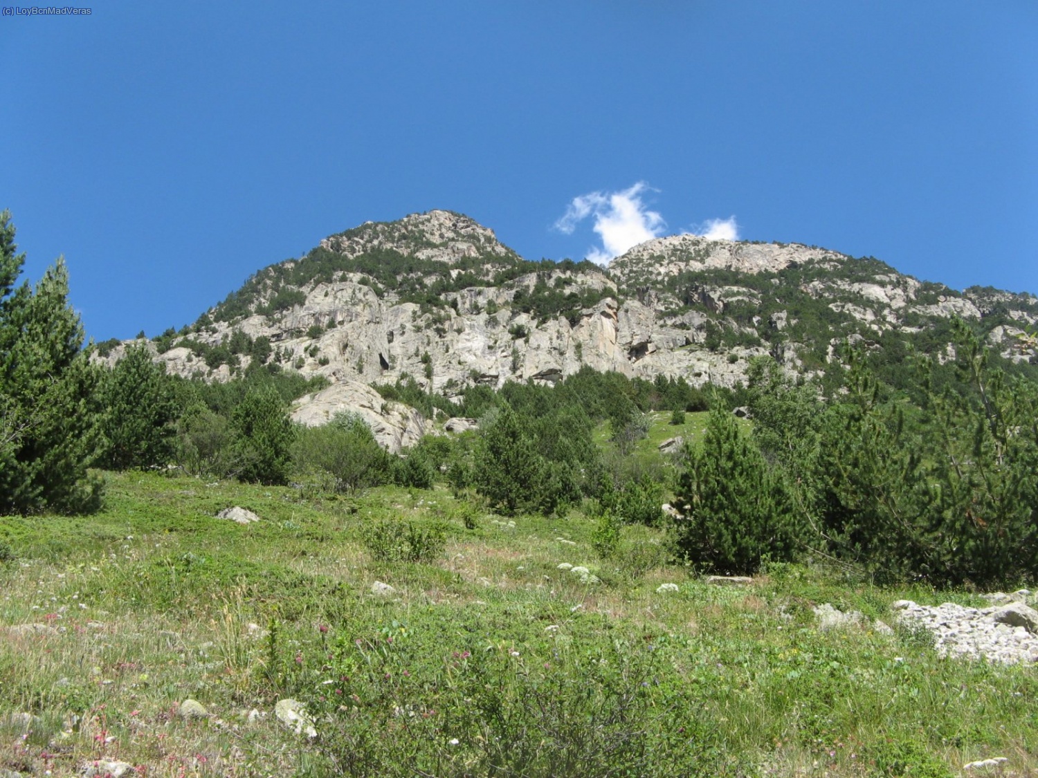 Vista general de la Grande Rocahille