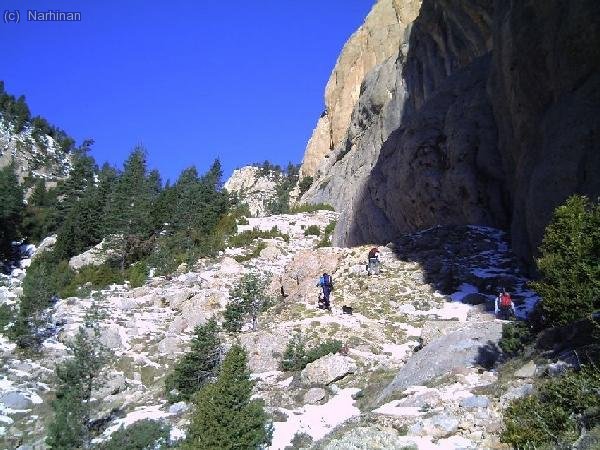 Al peu de la Roca Gran de Ferrús, pujant cap al coll de L´Estret (Fèlix Camprubí)