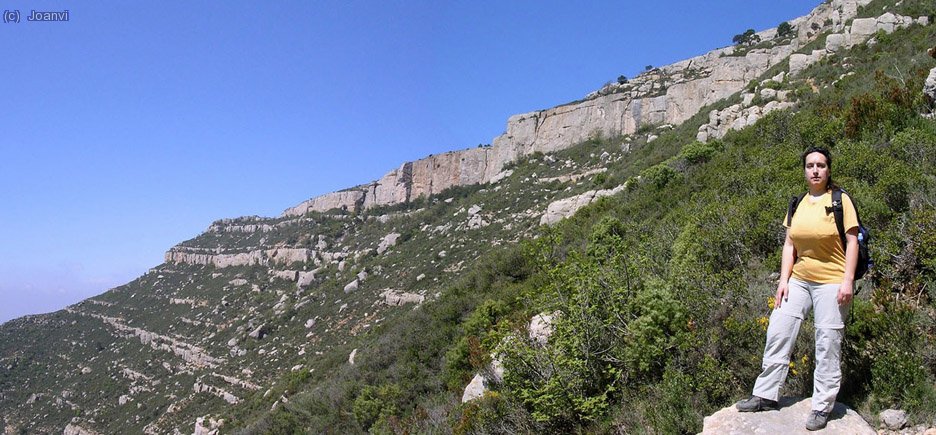 Vista del Montsant havent superat el primer esglaó del Grau.
