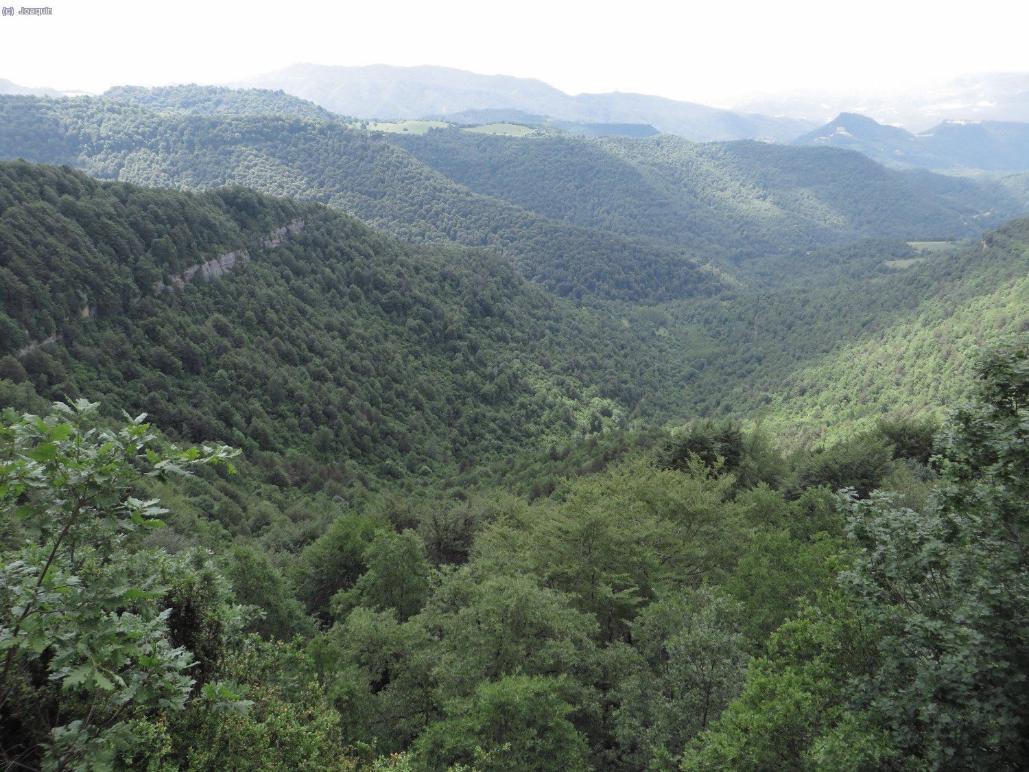 Valle de las Baumes de Teixidor, del Torrent del Burbau y de la Riera de Milany.