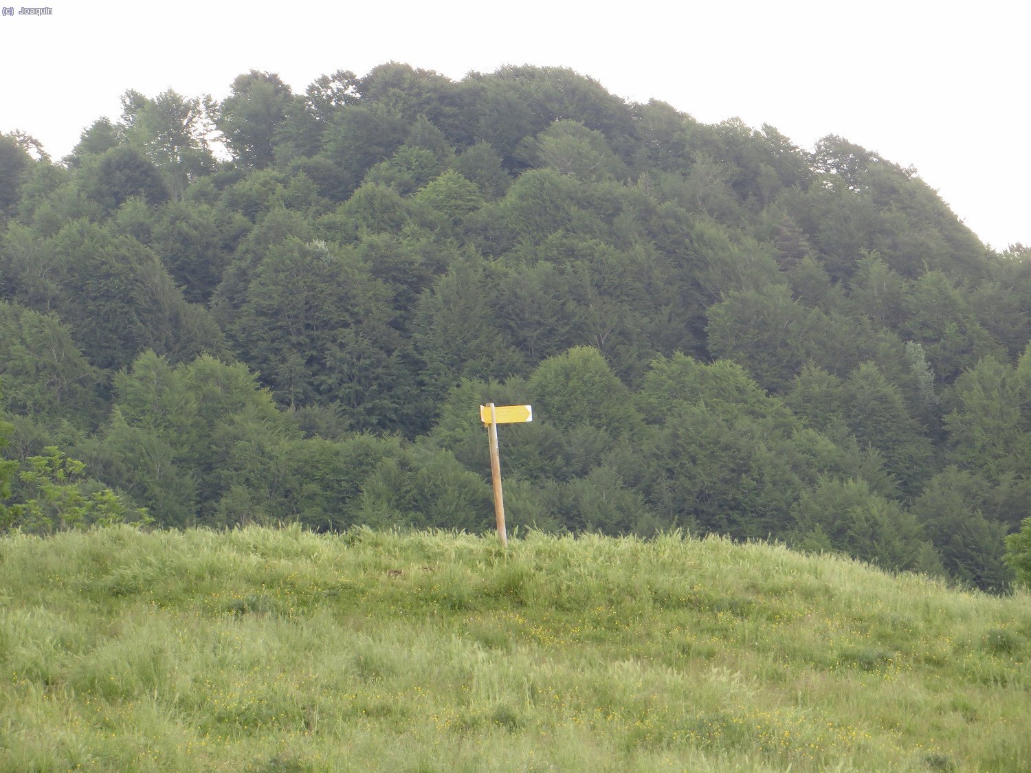 Cartel indicador de recorridos cerca del Castell de Milany