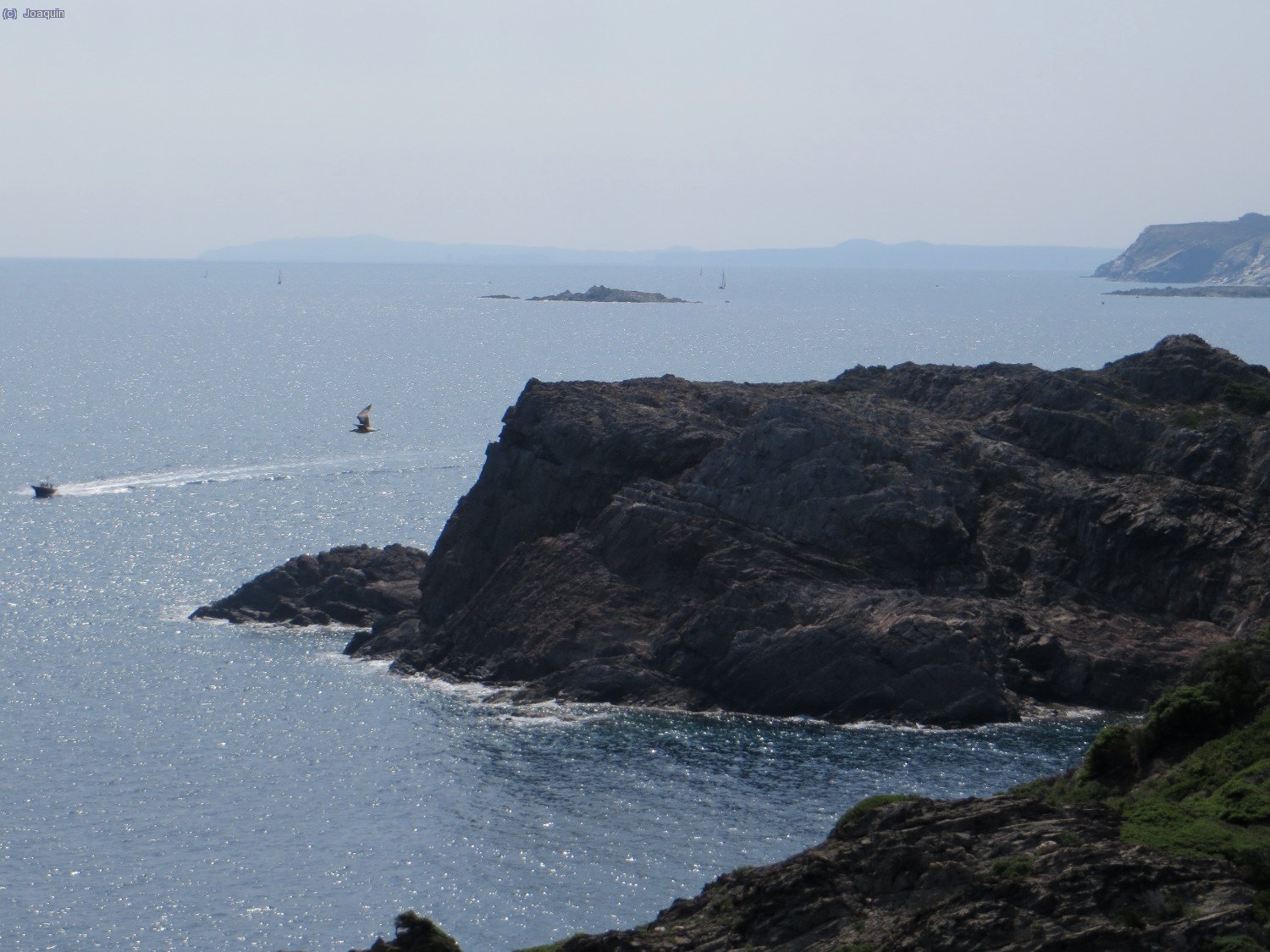 Cala Fredosa, cabo de Sa Francesca y al fondo la isla Messina o Illa Plana