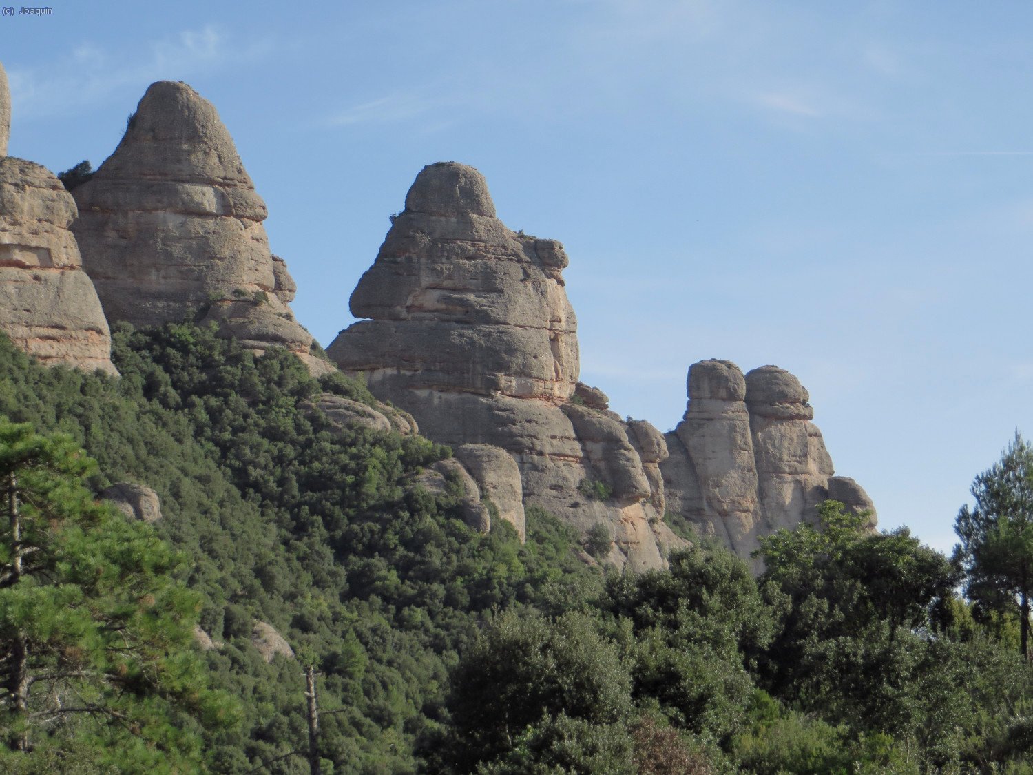 Agulles de Montserrat
