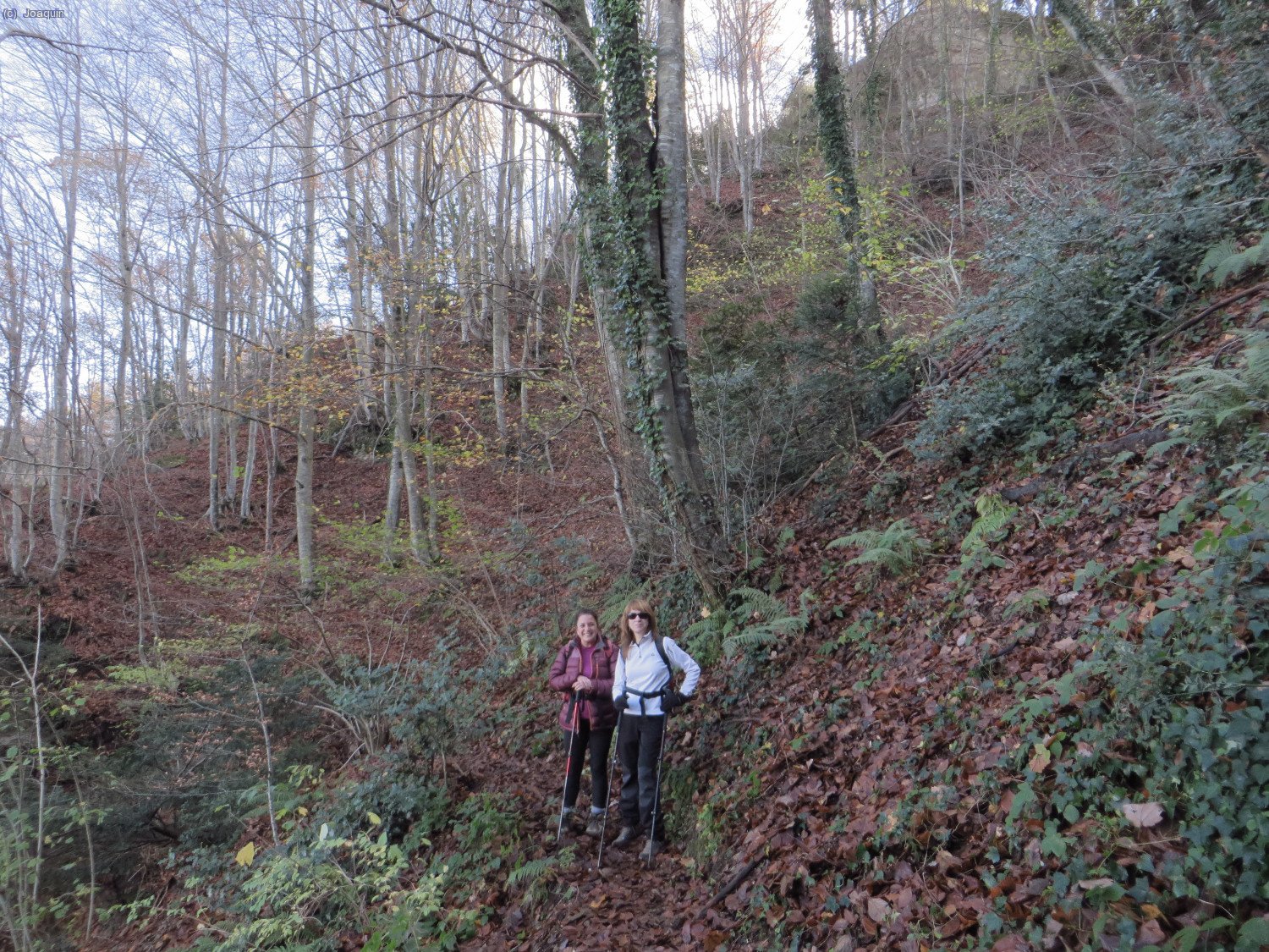 Pili y Anna en el hayedo cimero de la Sierra de Marboleny