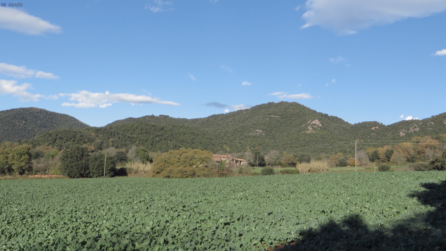 Delante Puig Sacreu, el Coll de Boixedes a la derecha, antes de llegar a El Campells