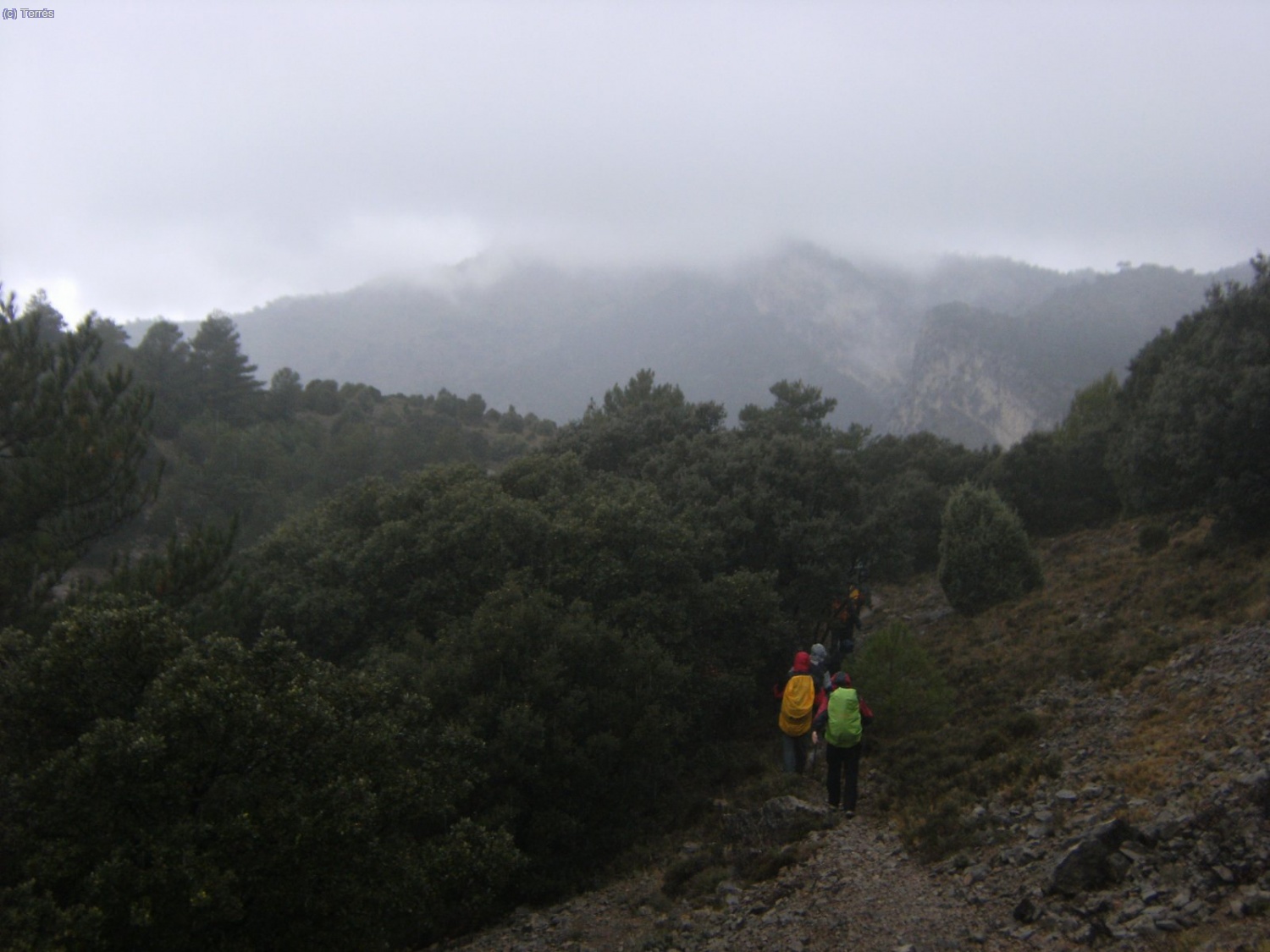 Al fondo las montañas de La Golosilla y Moleta de La Clocha.
