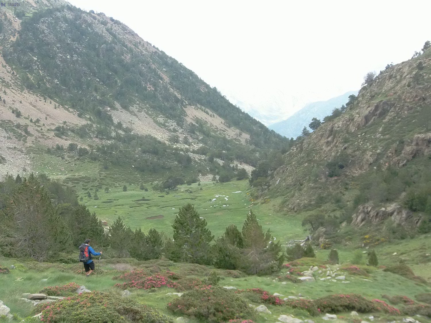 Bajando por el valle de Bolvís (Foto: Raúl y Marta)