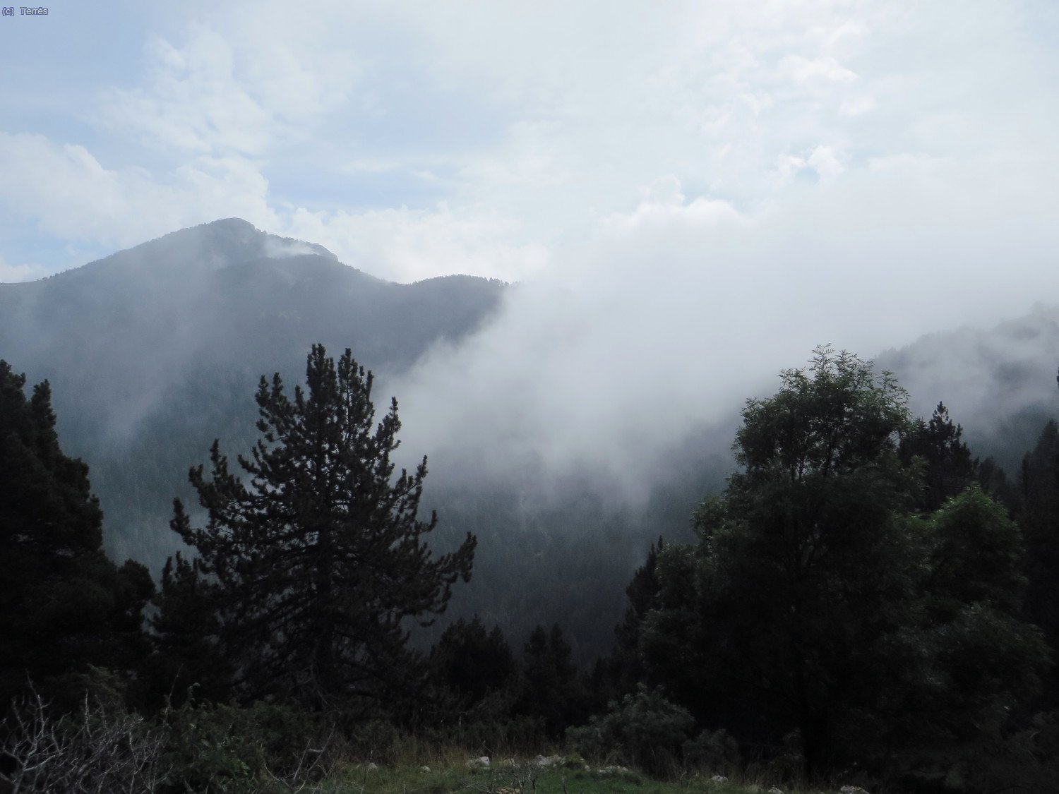 Desde las inmediaciones del Roc Cremat, vistas hacía el las Penyes Altes de Moixeró a la izqueirda y el Coll de Moixeró entre la niebla