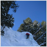 7.-Somni d´hivern.  70º, 2+, 40m.)