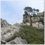 En el arbol, otro resalte a superar)