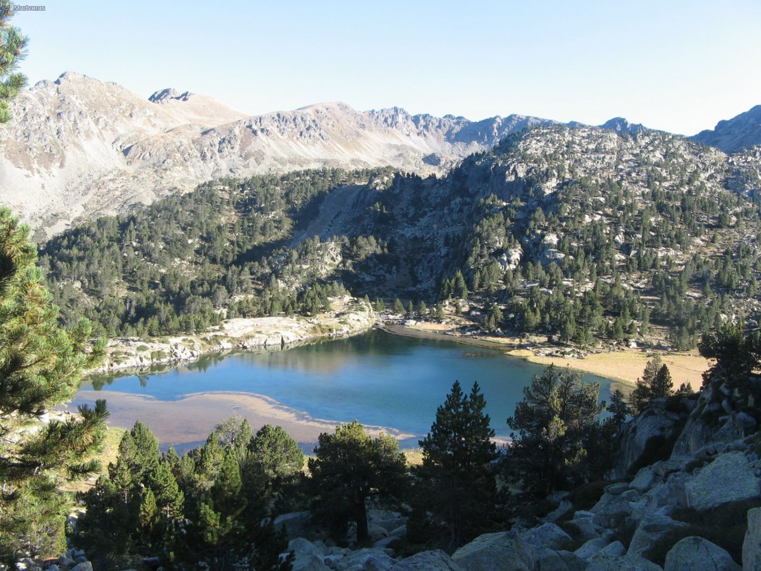Estany primer de pessons