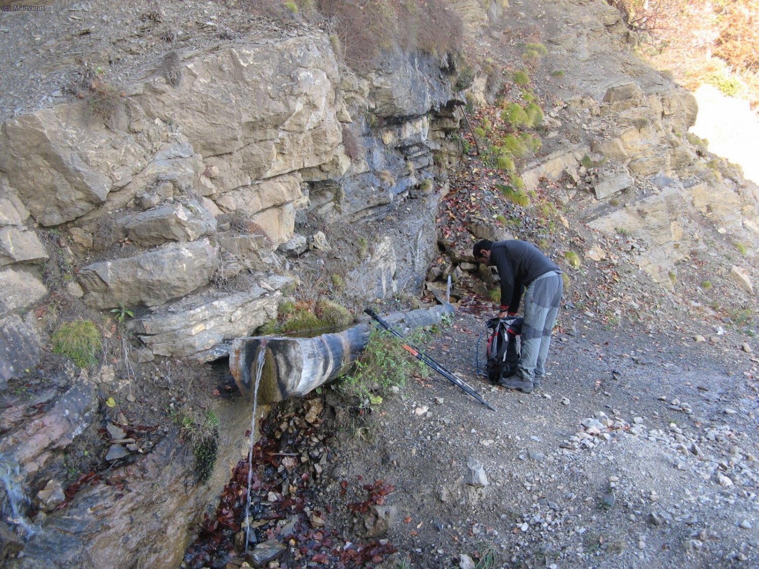 Paradeta a carregar aigua