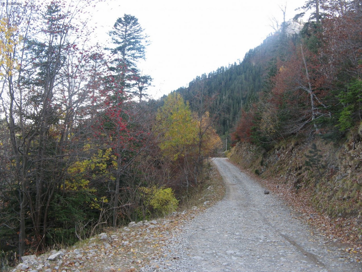 La pista amb els colors de la tardor