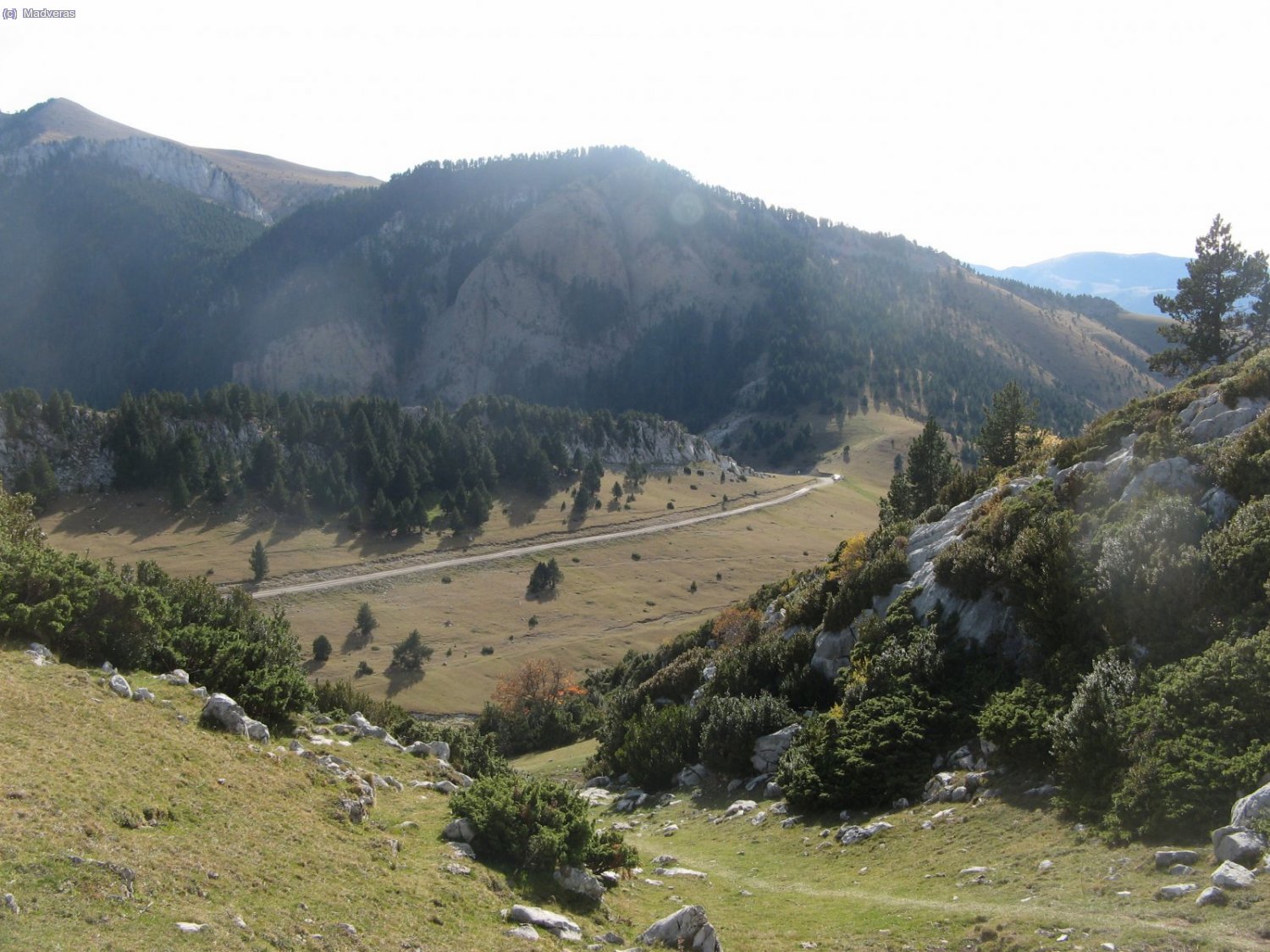 Arrivem de nou al Collel