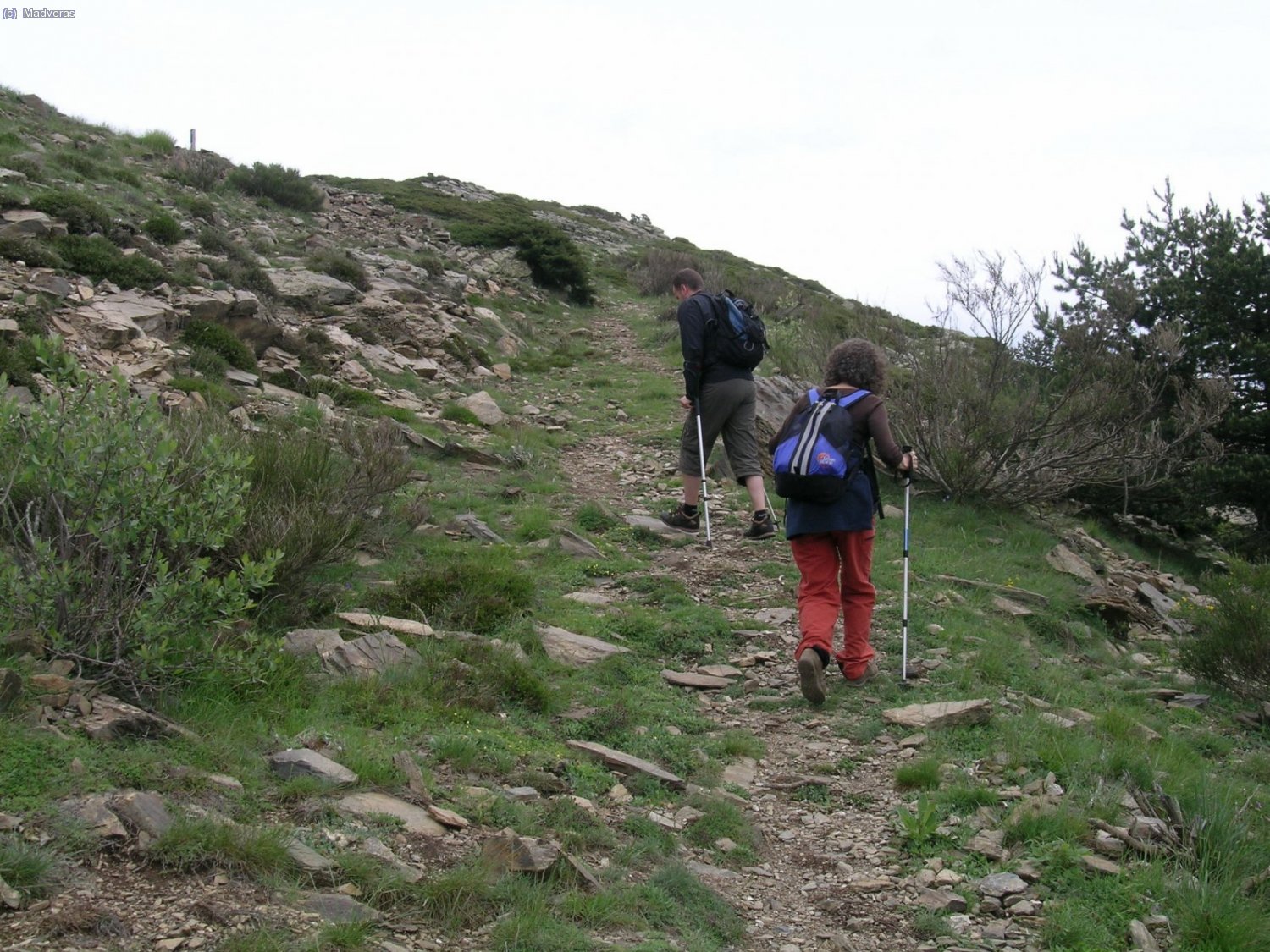 Vamos subiendo camino al collado