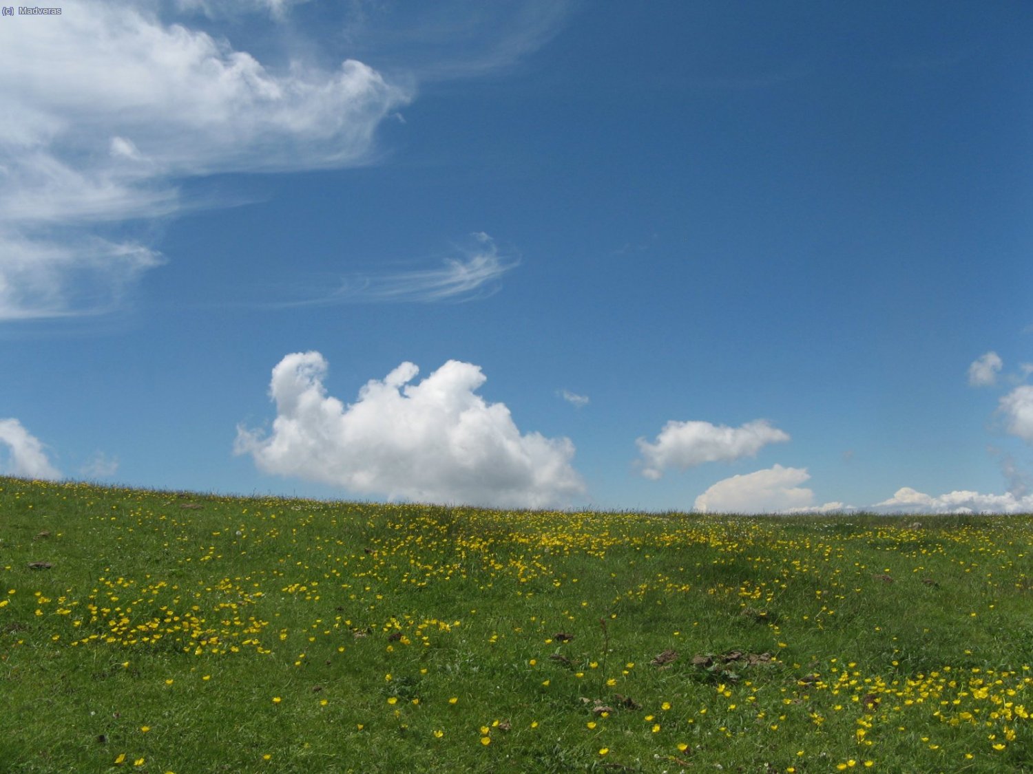 Los colores de la primavera