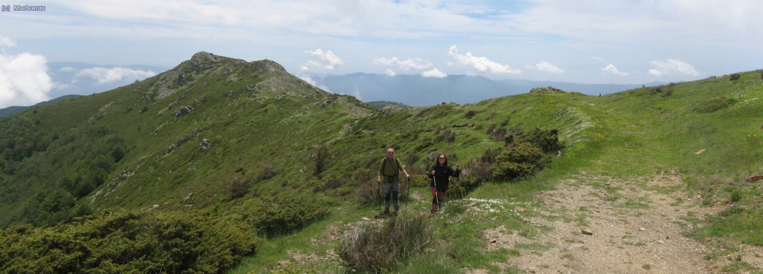 Camino del Coll Preg&oacute;n, con el Tur&oacute; Gros al fondo. Aqu&iacute; retomamos el camino normal de subida.
