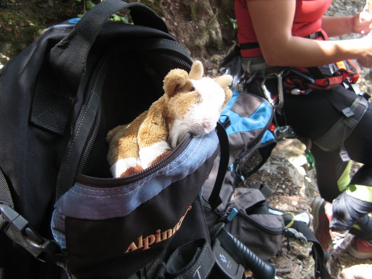 Mi compi de excursi&oacute;n
