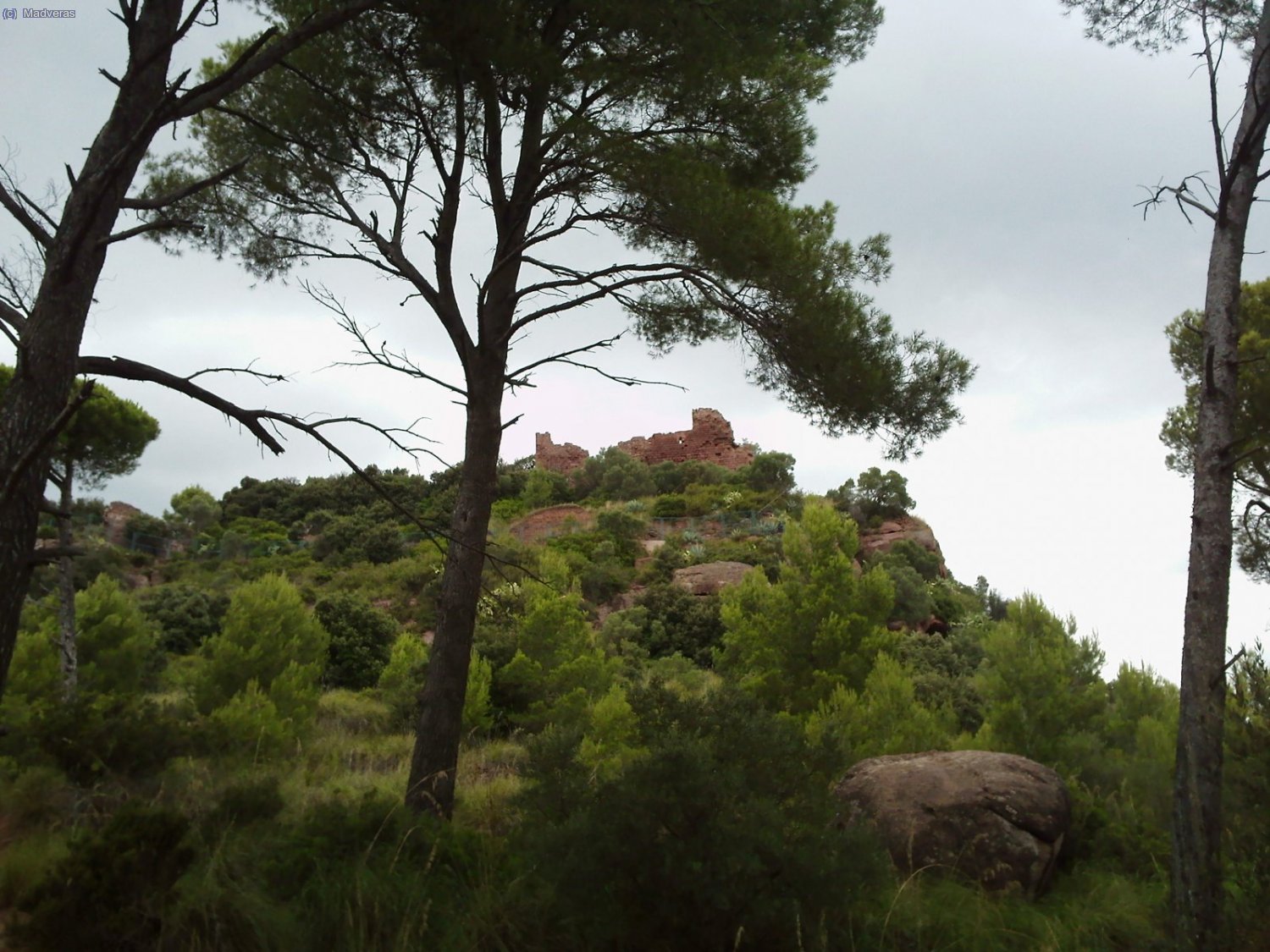 mmm... y esas rejas e el castillo?