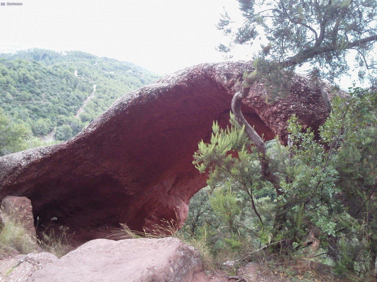 El peculiar puente que encontramos al principio del camino