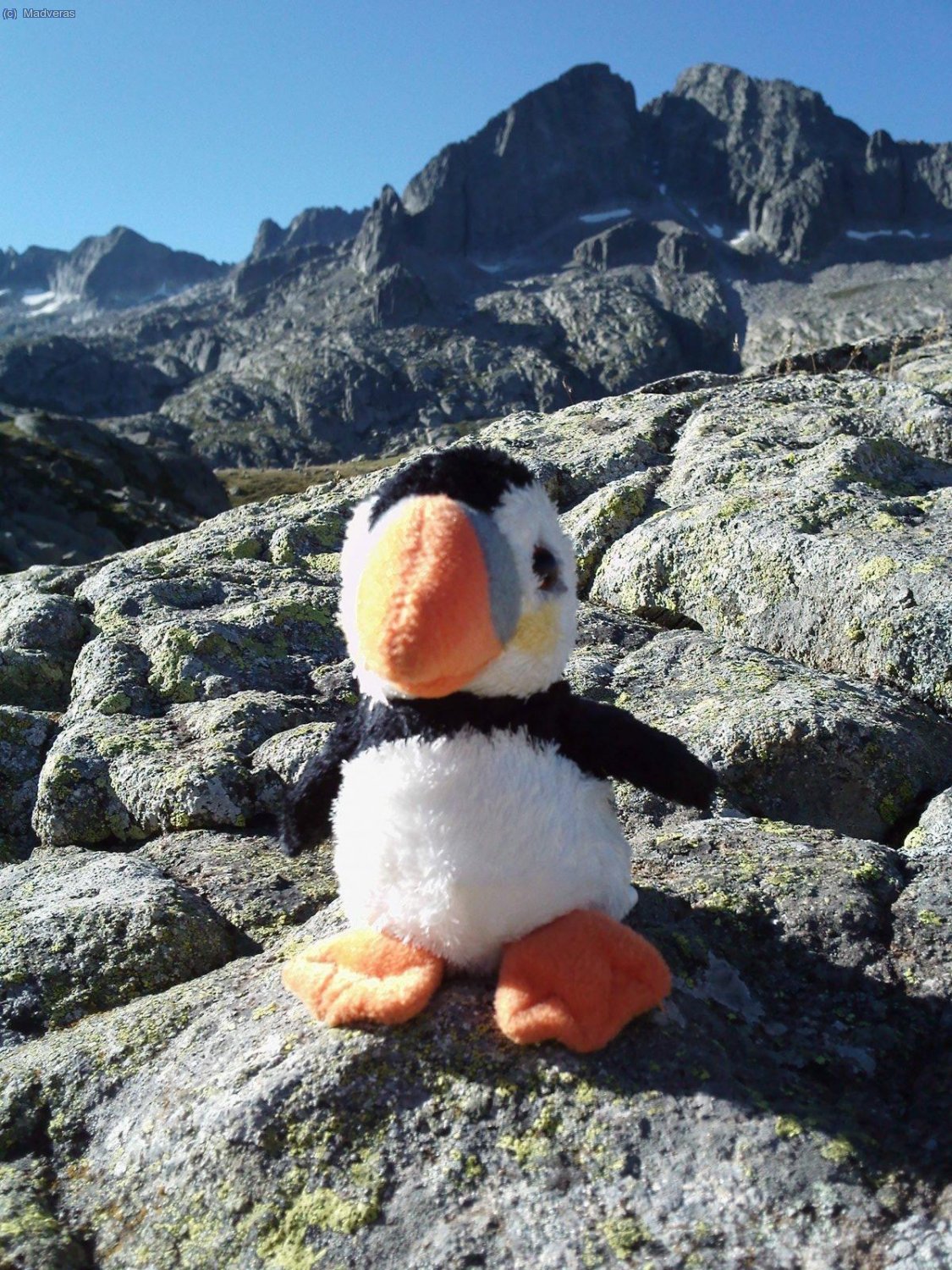 Mi compi de excursi&oacute;n :)