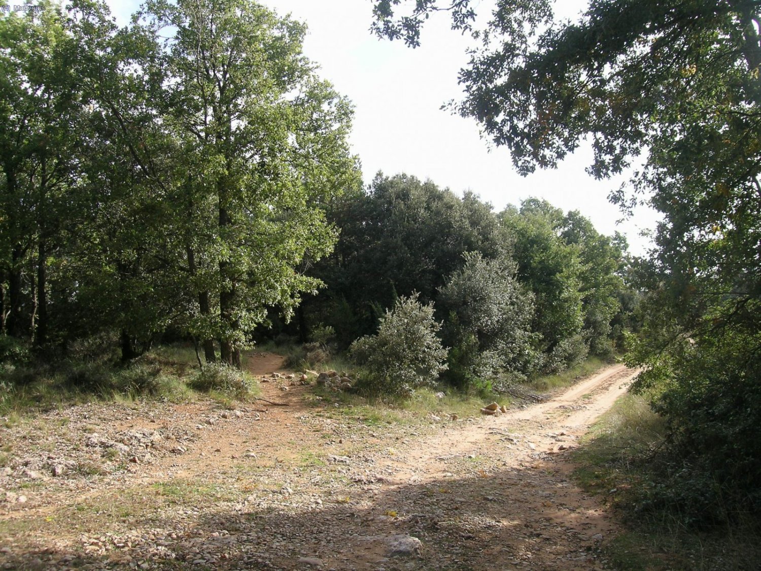 Nos volvemos a encontrar con la pista