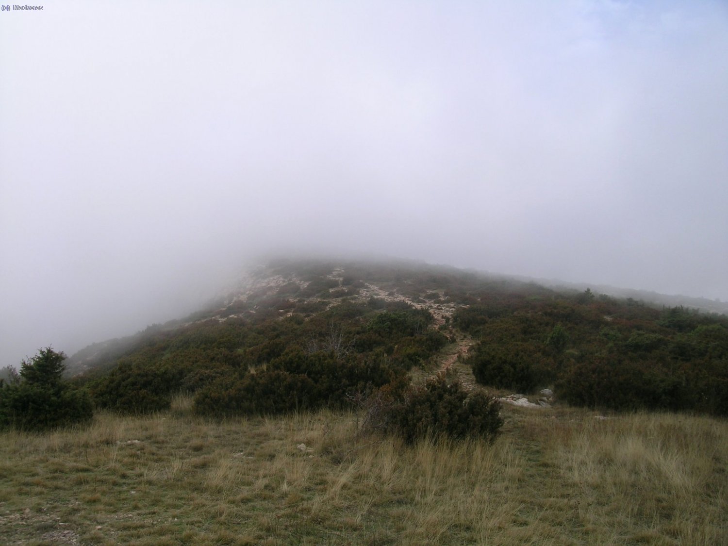 Tenia que entrar la niebla ahora?... brrff