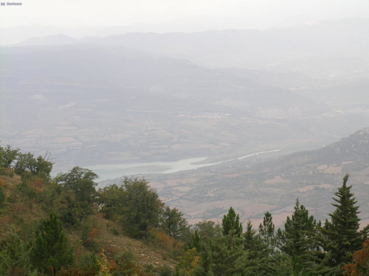 Pos ara no se que pantano es....