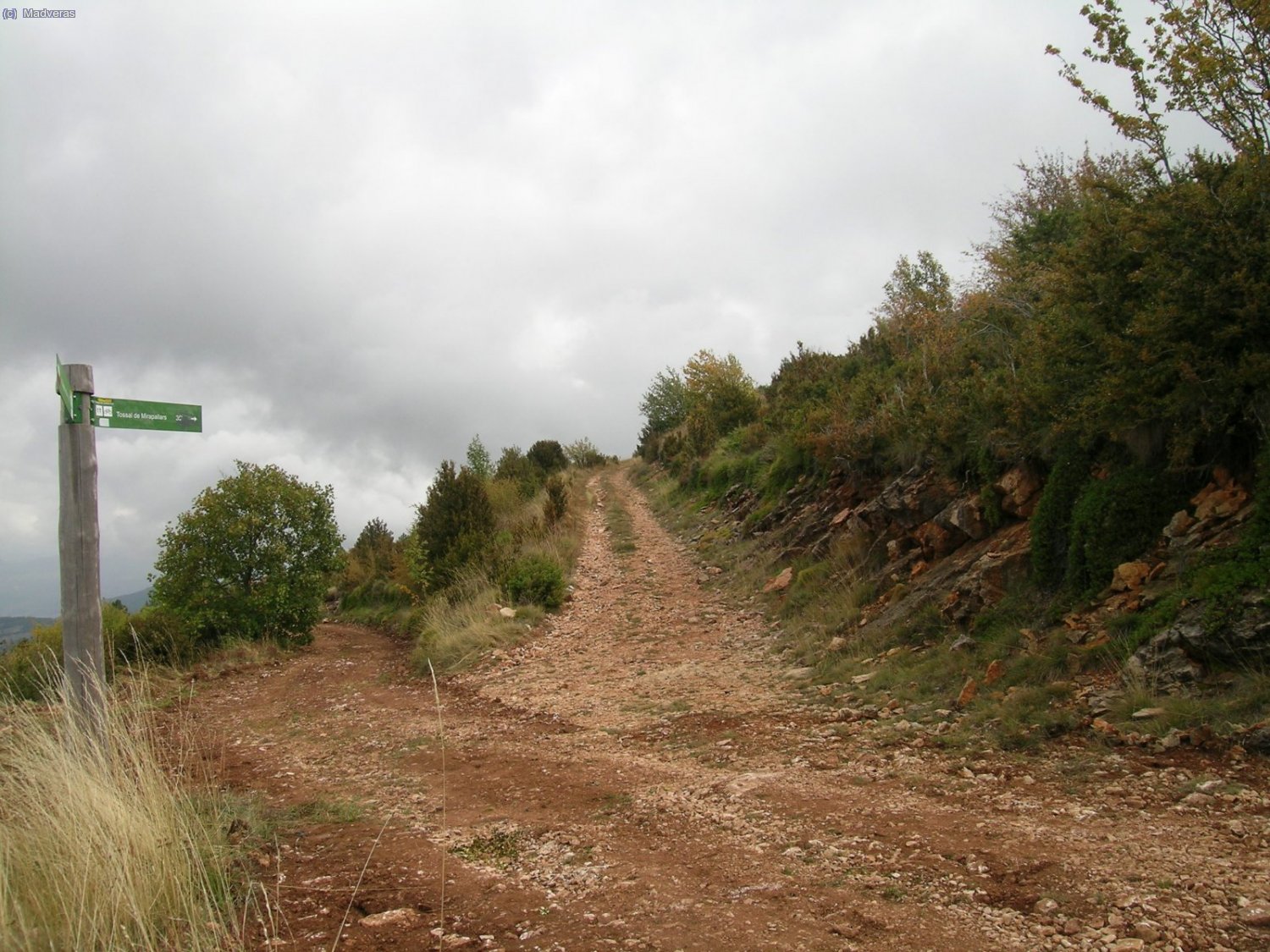 Tambi&eacute;n es pista