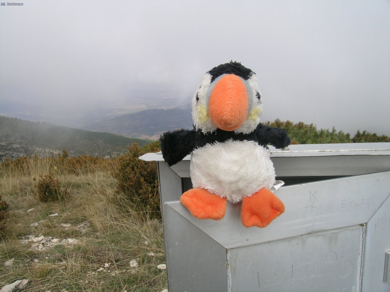 Mi compi de penurias y excursiones