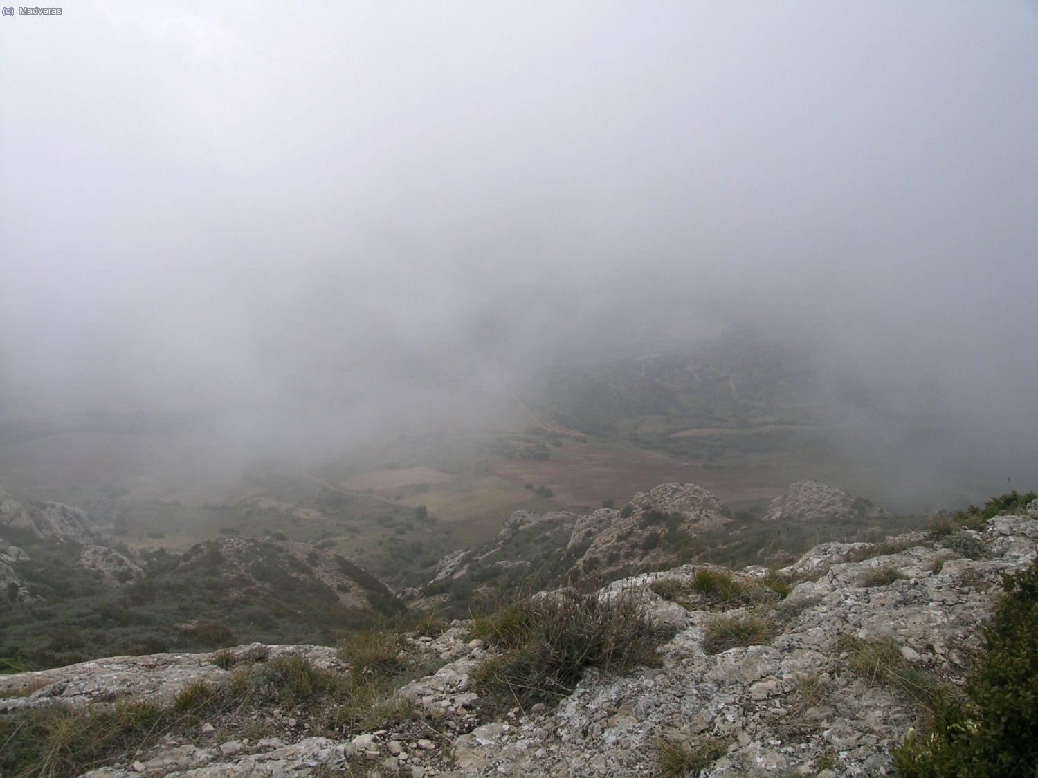 Lastima de niebla que no me deja ver las vistas