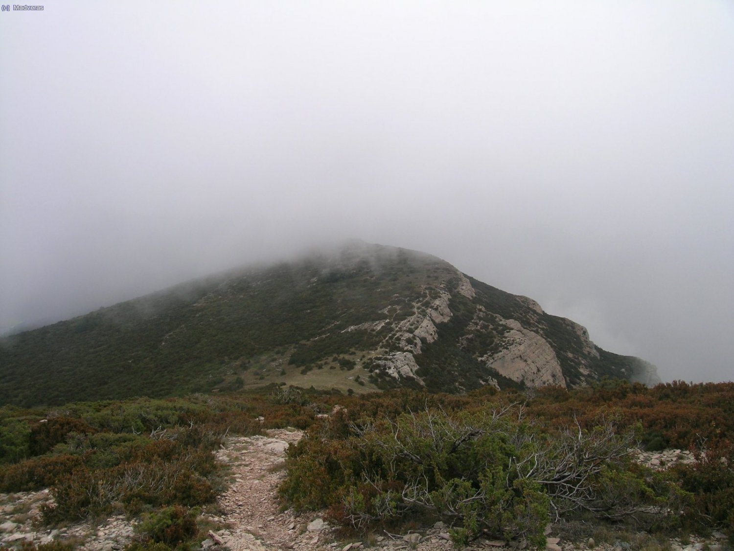 De vuelta al collado