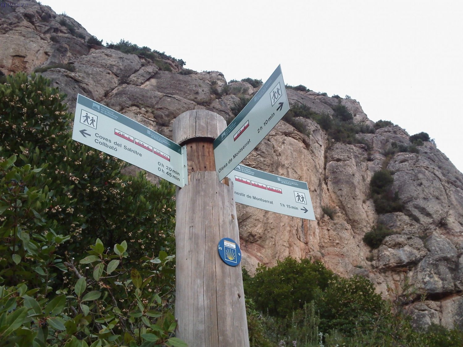 Cruce de caminos