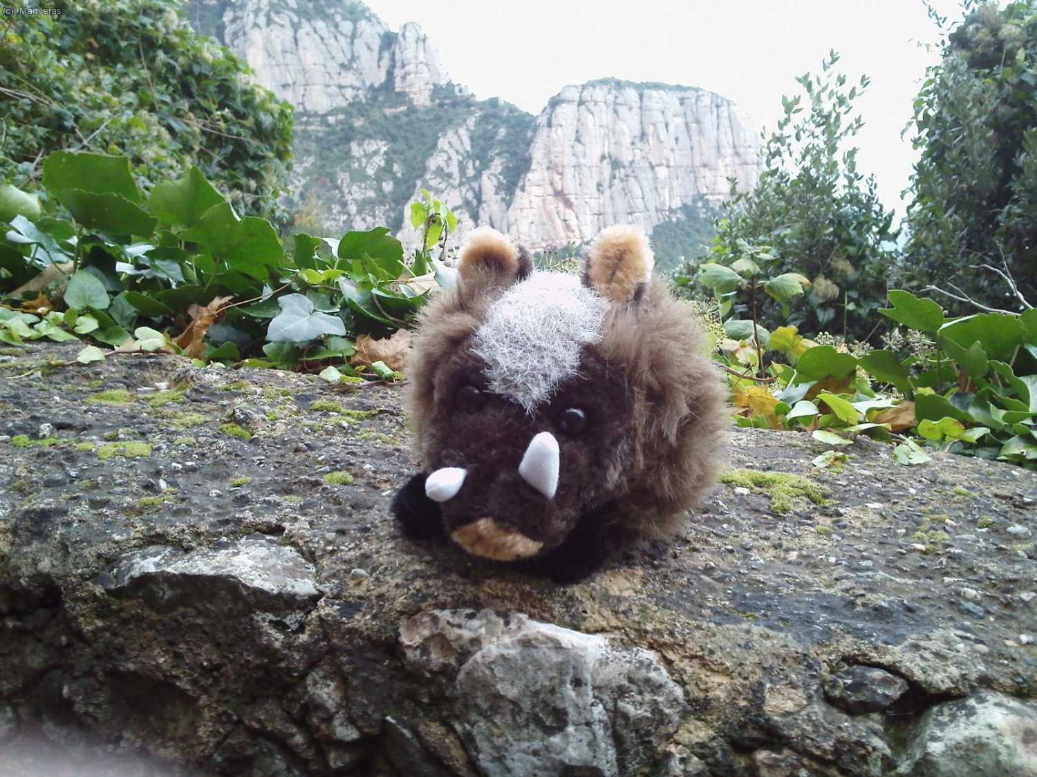 Corsi, mi comp&igrave; de aventura de hoy, pa que no estuviera tan solito