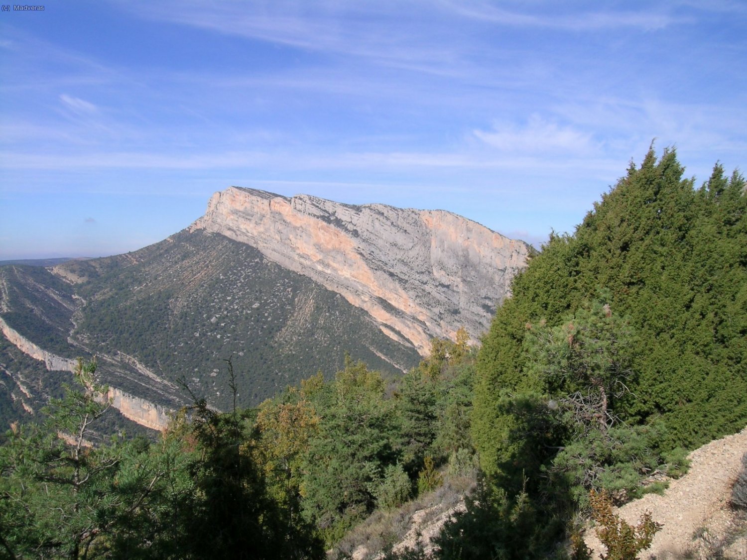 Paret Arag&oacute;