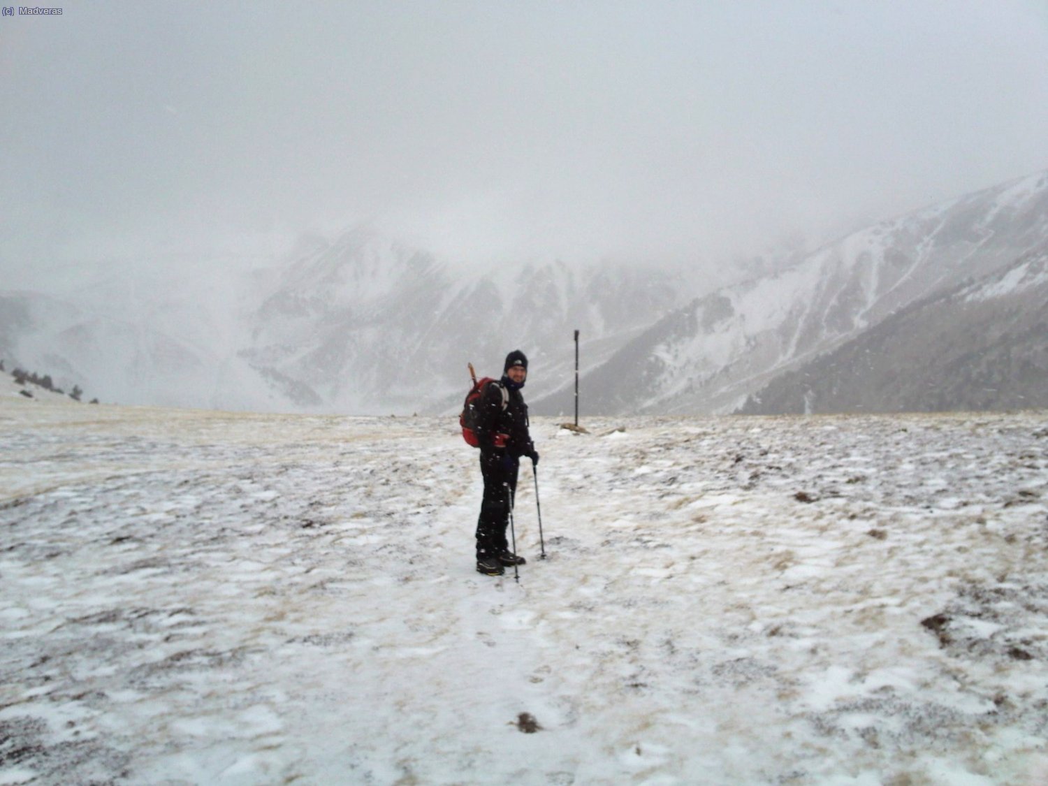 Al final, pabajo.... que esta cayendo la del pulpo