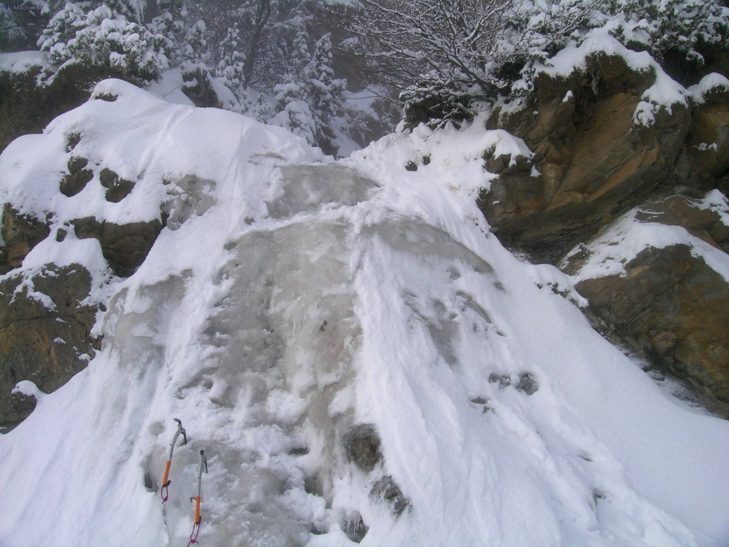 Resalte de entrada a Ilusions