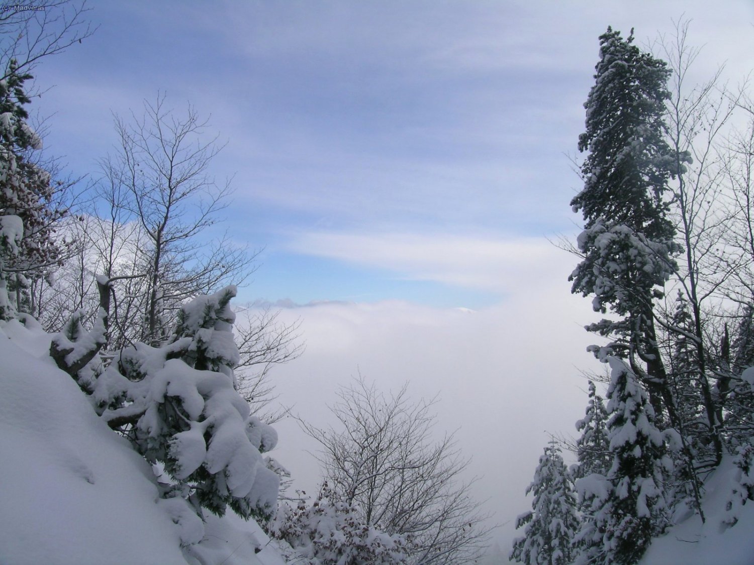 La niebla a primeras horas cubre el valle...