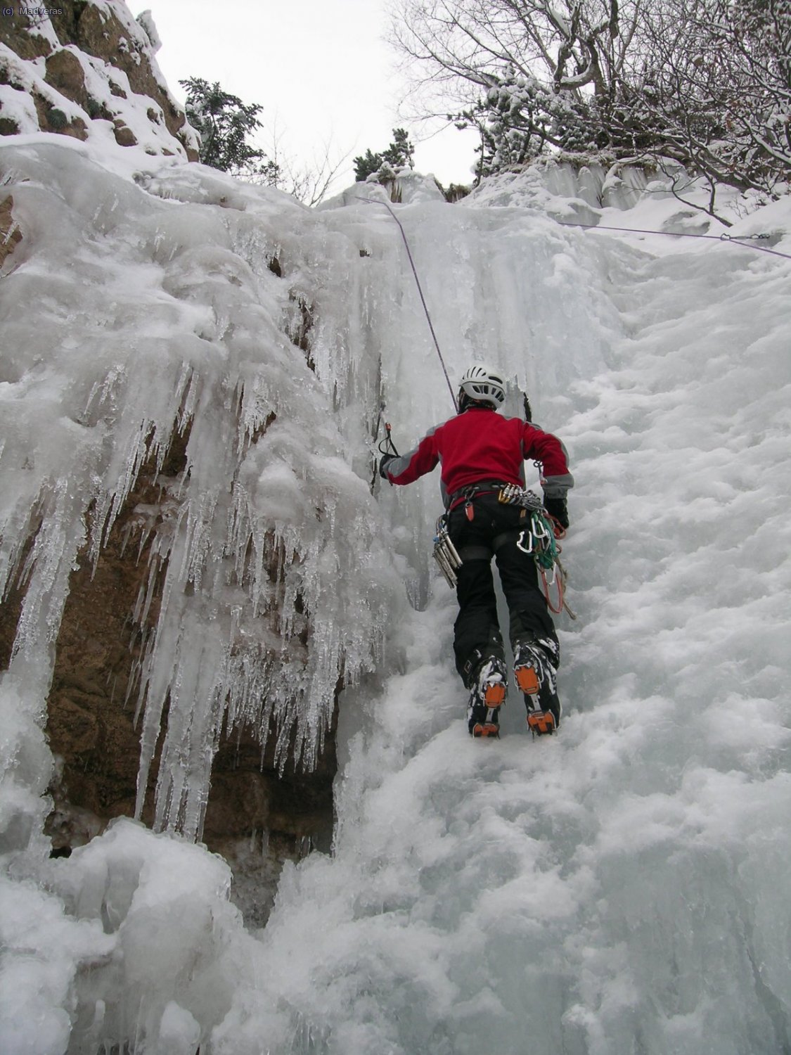 Schummy va a probar por la parte con hielo m&aacute;s delicado