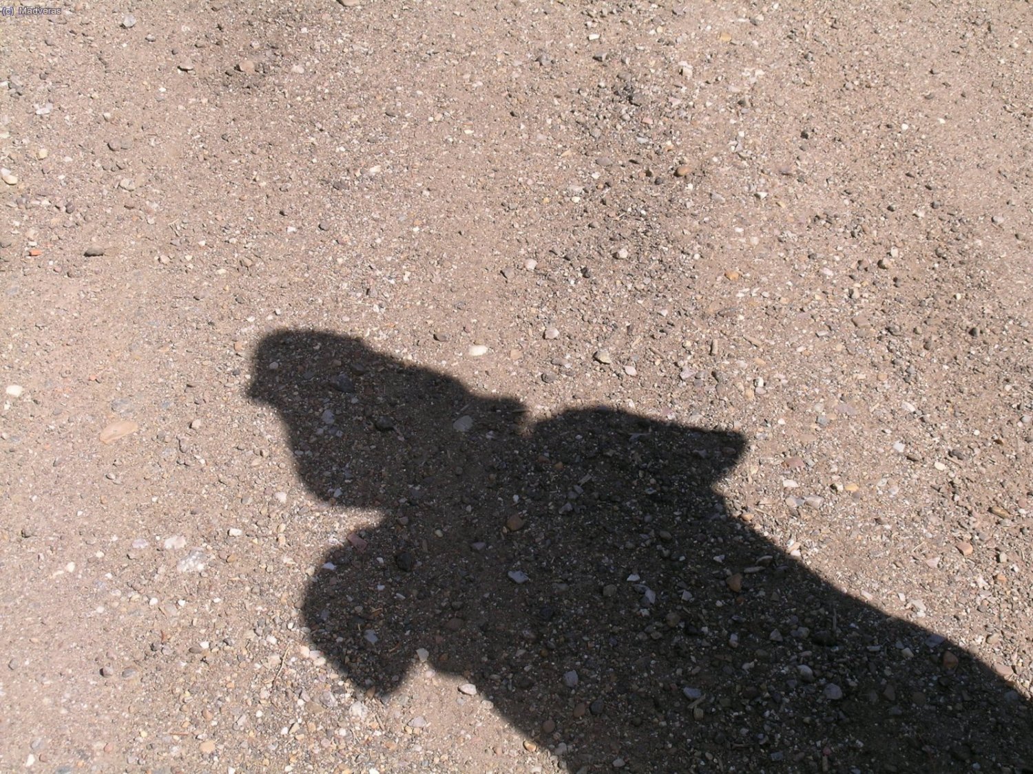 &iquest;&iquest;&iquest;Darth Vader???