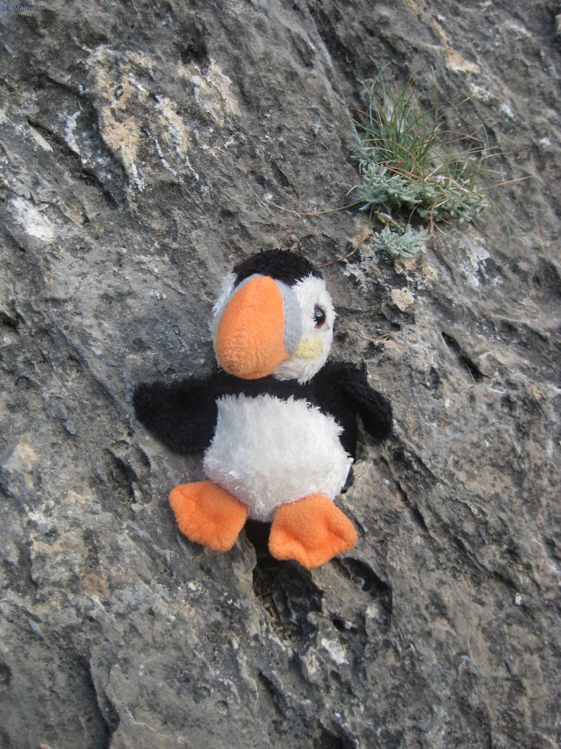 si es que quien m&aacute;s quien menos todos teniamos mono de pared jijiji