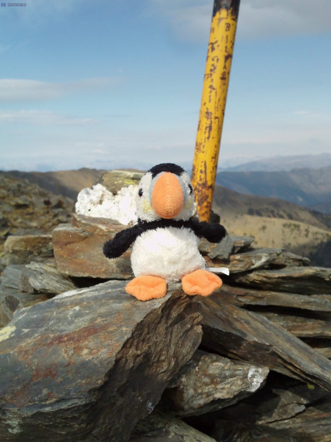Puffy, compi de aventuras en la cima del Bassera jejejeej