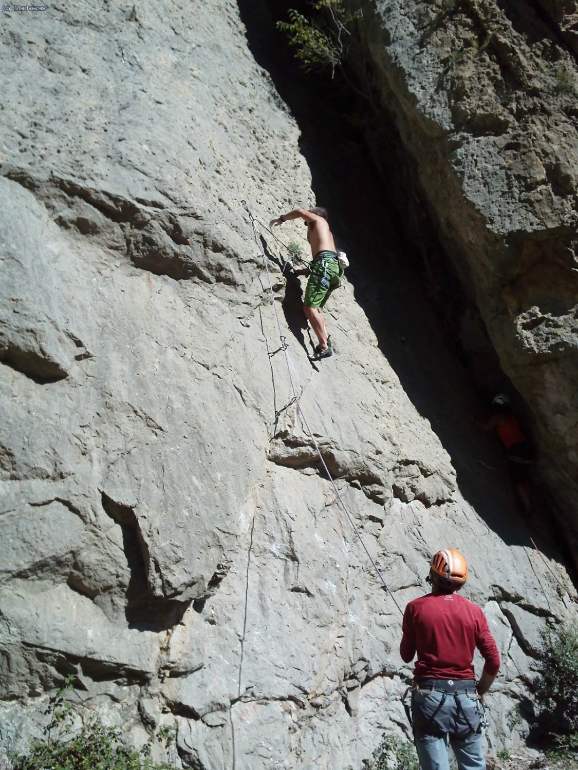 Oriol asegurado por Rapaz