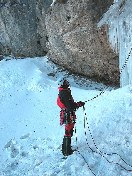 Columna verdet: Yo pispo asegurando