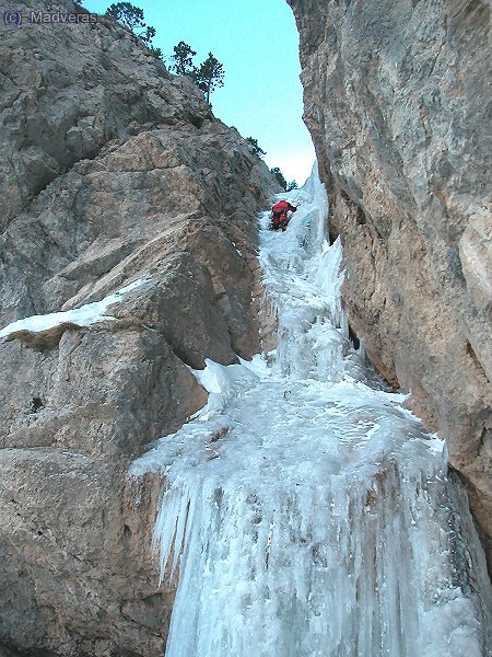 Columna verdet: que ya llego, que ya llego...