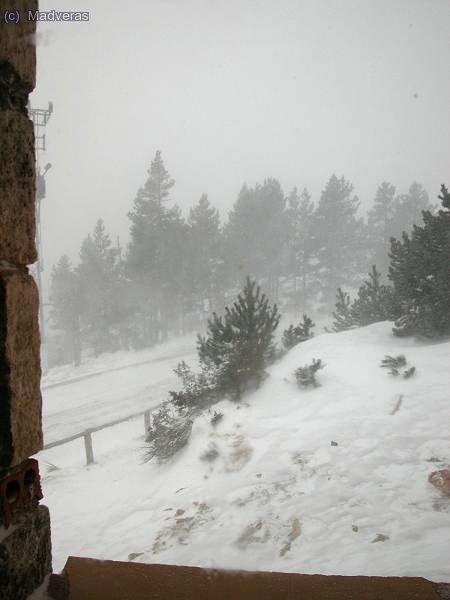 De buena mañana...mmmm que gran dia que hace.