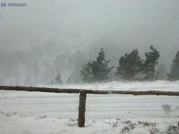 Las once de la mañana y sigue feo, pero feo feo...