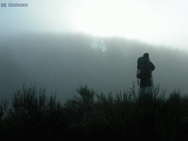 Farell en la niebla :)